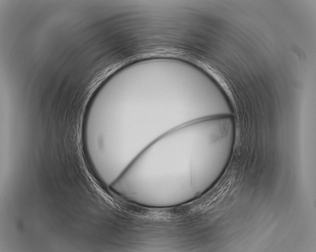 X0000115830437200911131130