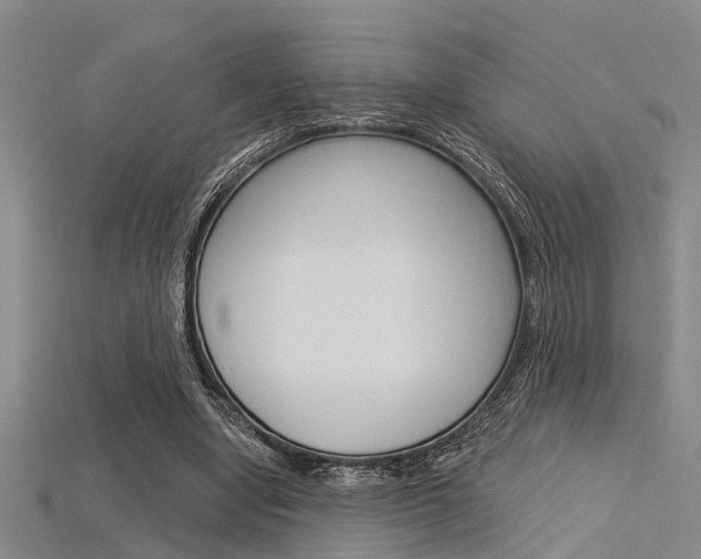X0000115830442200911131130