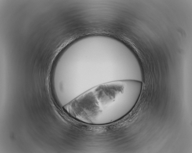 X0000115830443200911131130