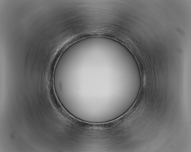 X0000115830444200911131130