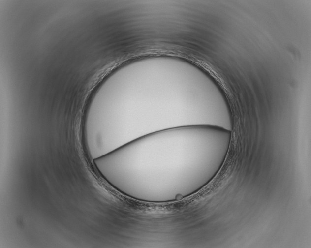 X0000115830445200911131130