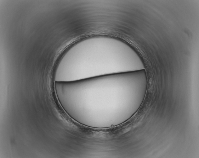 X0000115830446200911131130
