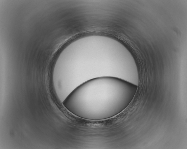 X0000115830448200911131131