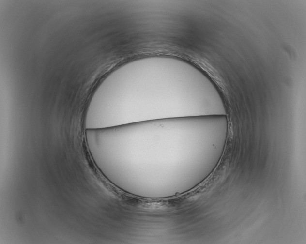 X0000115830449200911131131