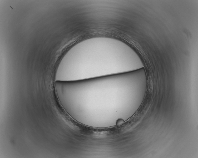 X0000115830450200911131131