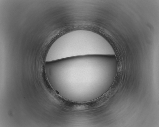 X0000115830452200911131131