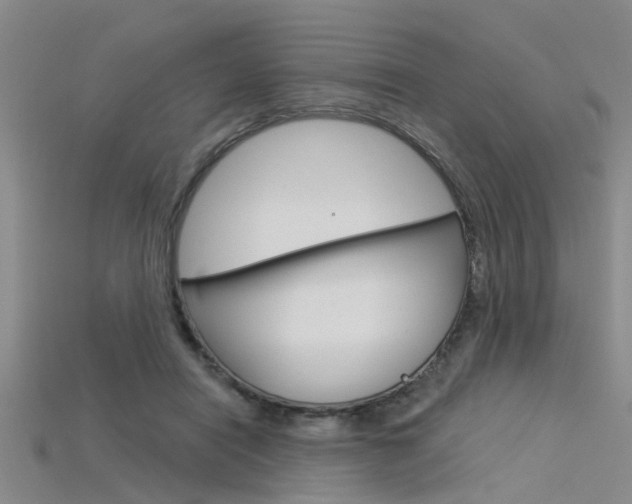 X0000115830454200911131131
