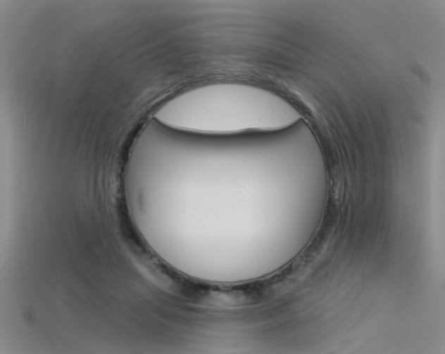 X0000115830455200911131131