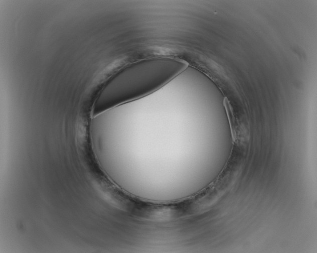 X0000115830456200911131131