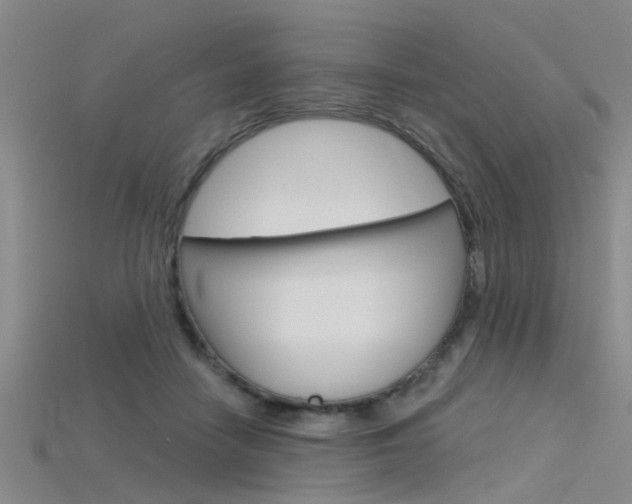 X0000115830458200911131131