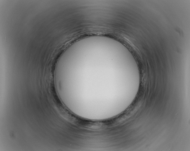 X0000115830459200911131131