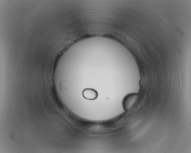 X0000115830460200911131131