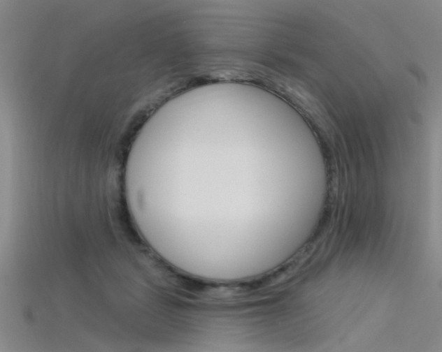 X0000115830461200911131131