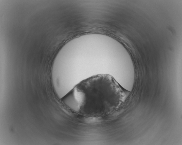 X0000115830465200911131131