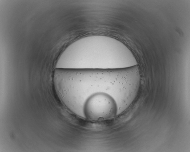X0000115830466200911131131