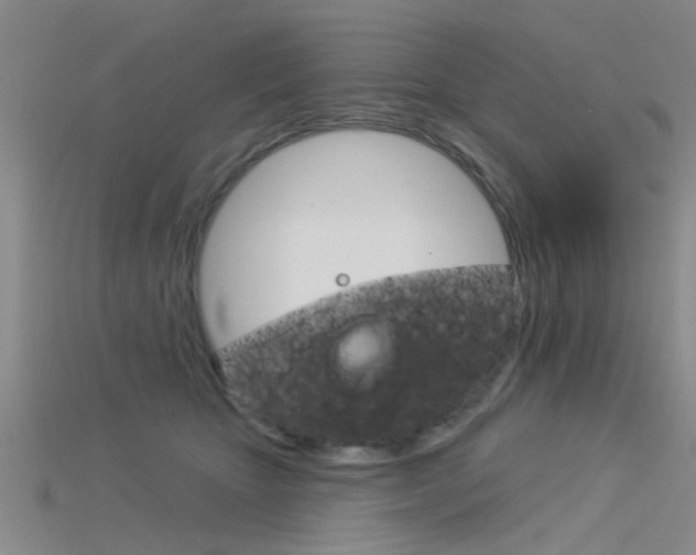 X0000115830467200911131131