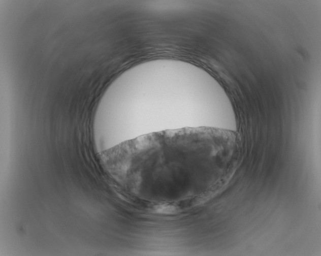 X0000115830471200911131131