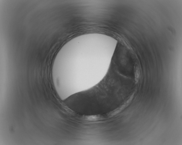 X0000115830473200911131131