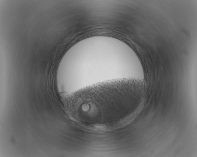 X0000115830475200911131131