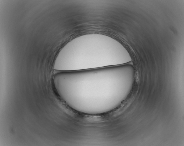 X0000115830476200911131131