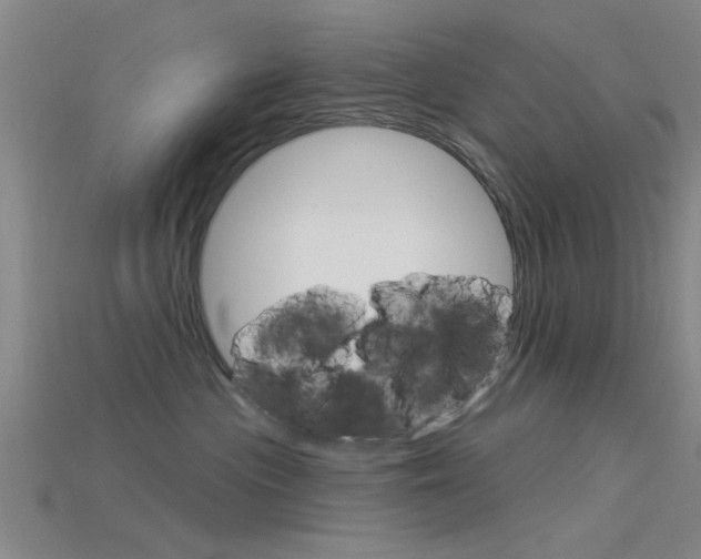 X0000115830477200911131131
