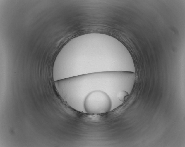 X0000115830478200911131131