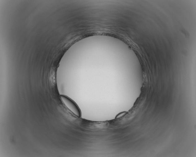 X0000115830479200911131131