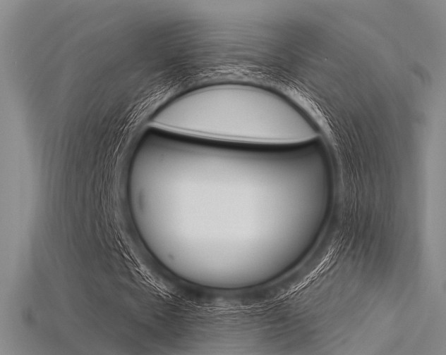 X0000115830481200911131130