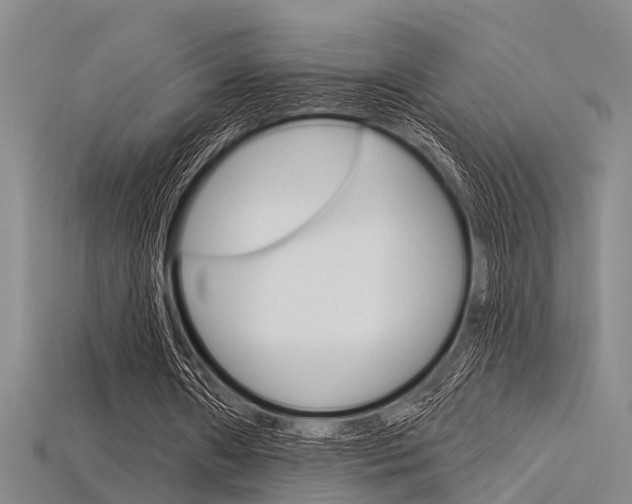 X0000115830482200911131130