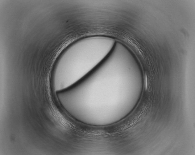 X0000115830483200911131130