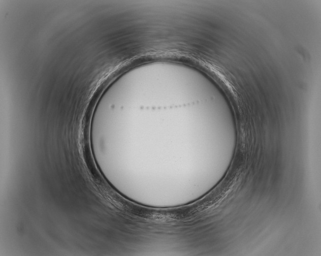 X0000115830487200911131130