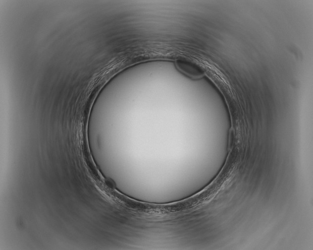 X0000115830489200911131130
