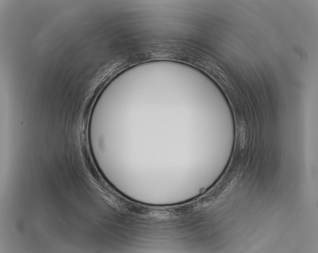 X0000115830490200911131130
