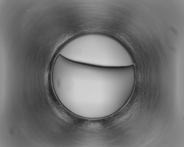 X0000115830491200911131130