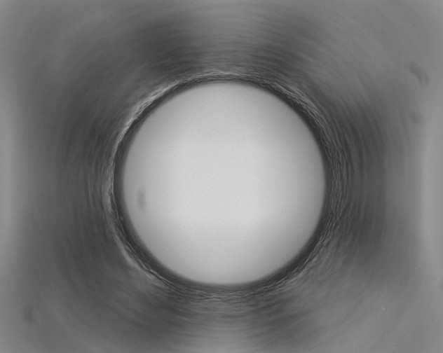 X0000115830492200911131130