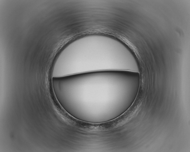 X0000115830493200911131130