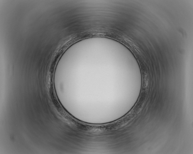 X0000115830494200911131130