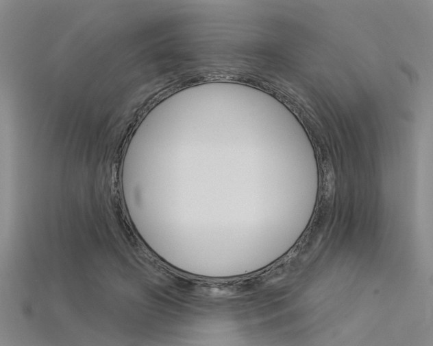 X0000115830498200911131130