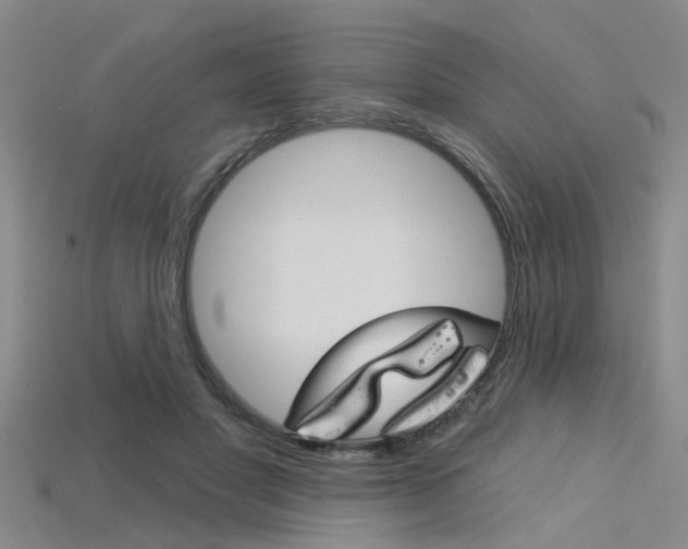 X0000115830501200911131130