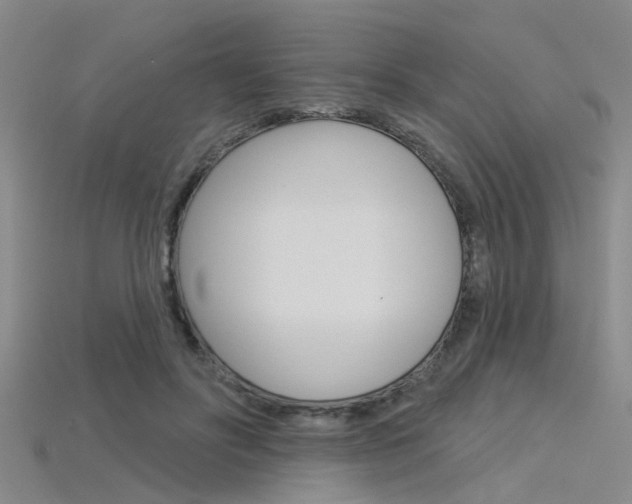 X0000115830502200911131130