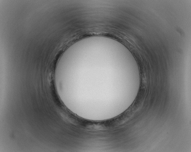 X0000115830503200911131130