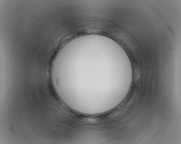 X0000115830506200911131130