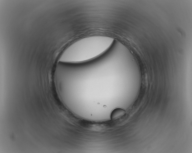 X0000115830508200911131130