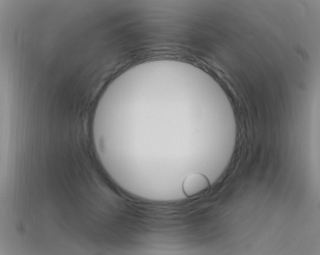 X0000115830512200911131130