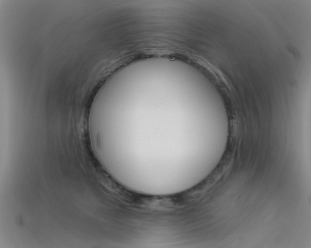 X0000115830517200911131130