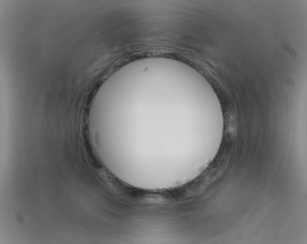 X0000115830519200911131130