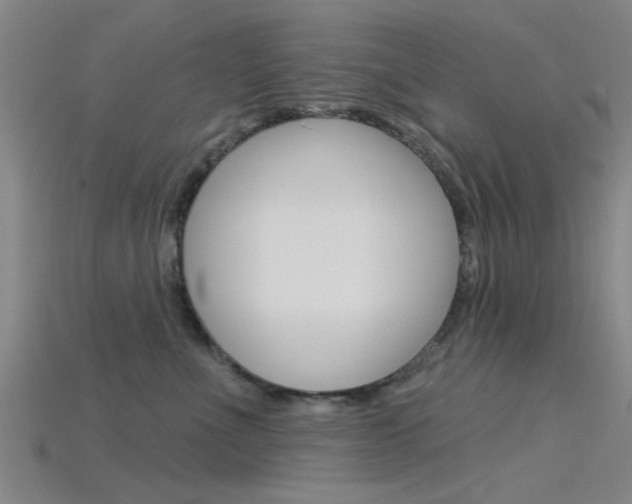 X0000115830523200911131130