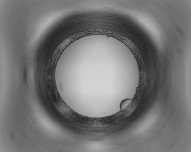 X0000115830526200911131130