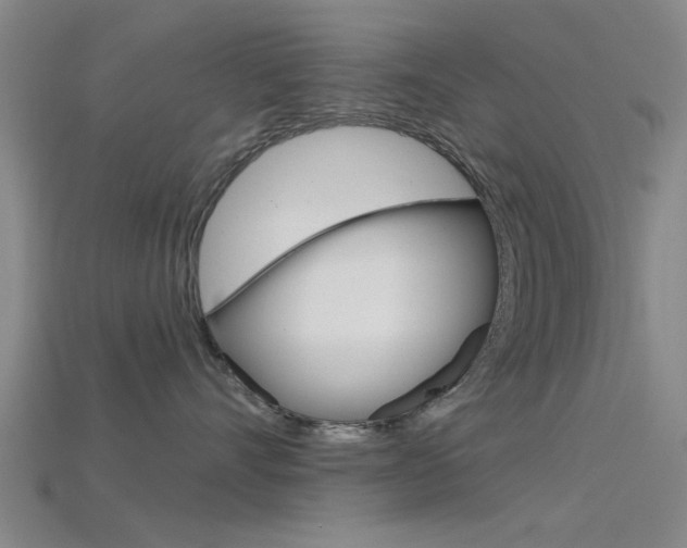 X0000115830528200911131130