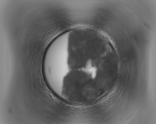 X0000115830529200911131129